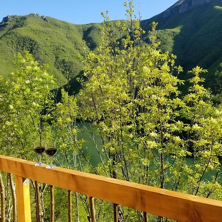 Twin Villas Komani Lake Dış mekan fotoğraf